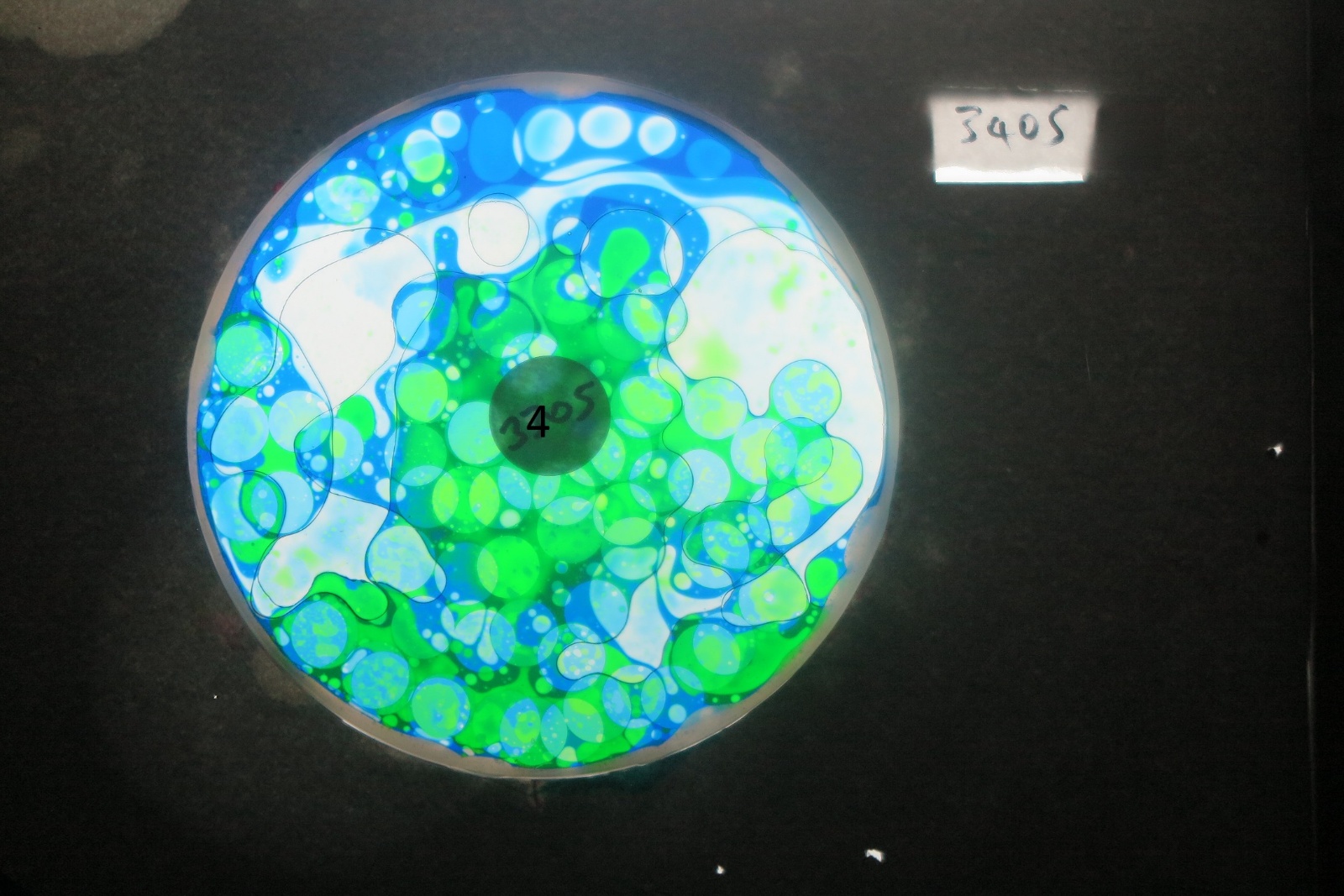 BV3405 bubble vision oil wheel